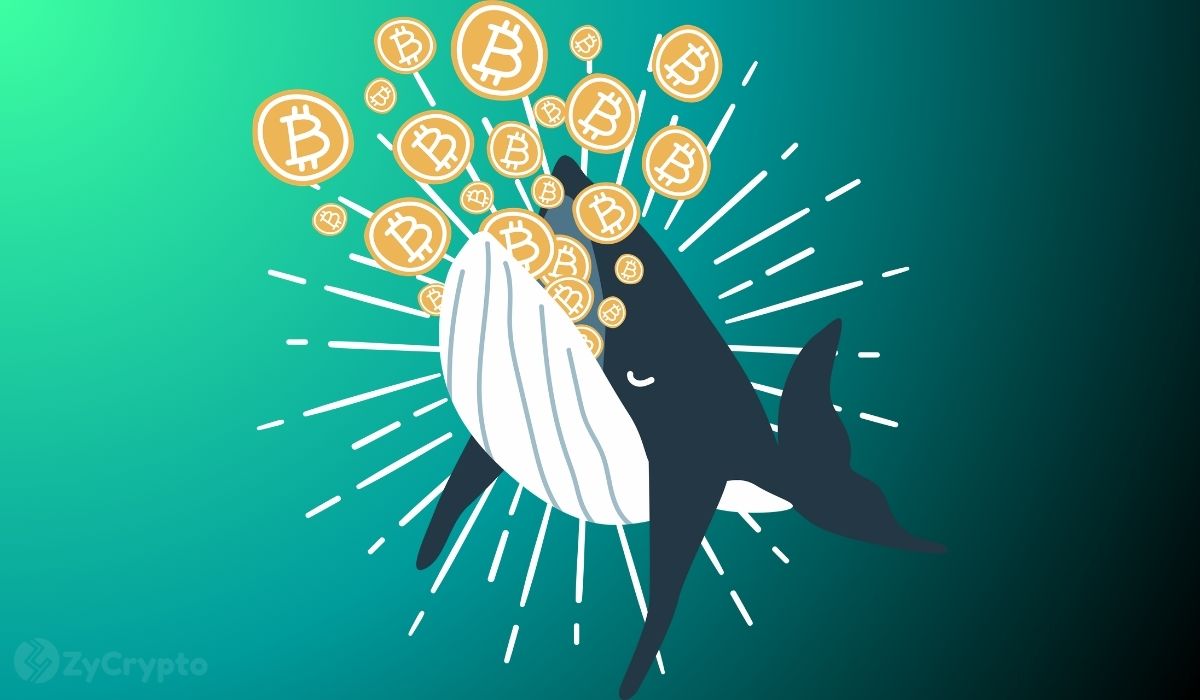 Bitcoin Dips 2% as Four Dormant Wallets Wake With 8,000% Gains