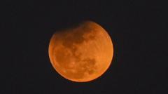 Lunar Eclipse and Meteor Shower Coincide With Extreme Fear — Whales May Be Accumulating