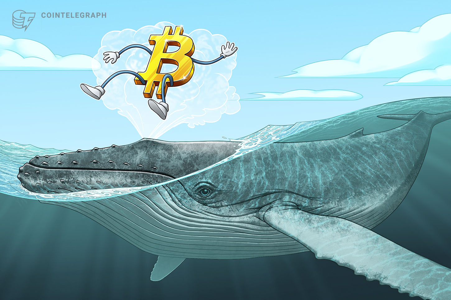 Whales Accumulated Bitcoin, Ethereum, and XRP During Market Dip: CryptoQuant