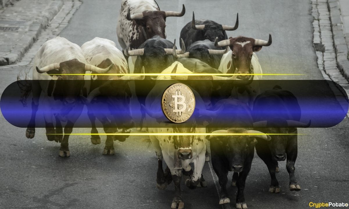 Bitcoin Flashes Three Rare Monthly Signals That Preceded Historic Rallies