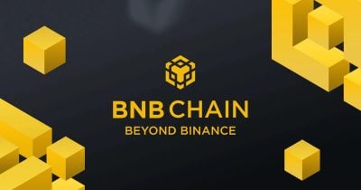 BNB Chain Pulls in $900K in REV, Outpacing Major Rivals