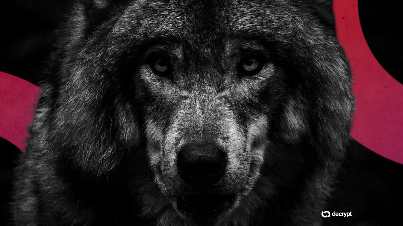 AI-Generated Wolf Photo Sparks False Alert in South Korea