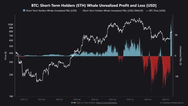 Bitcoin Whales