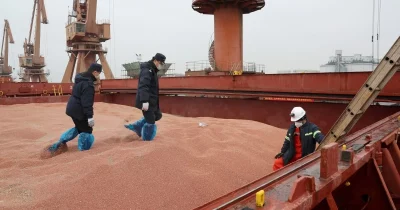 Xi-Trump Summit May Seal Farm Deal Amid China Soybean Cuts
