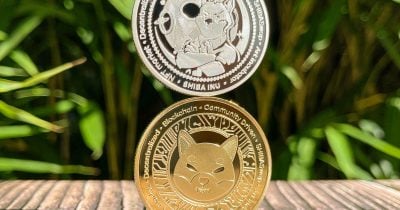Shiba Inu Surges 40% as $5M Spot Inflows Signal Investor Interest