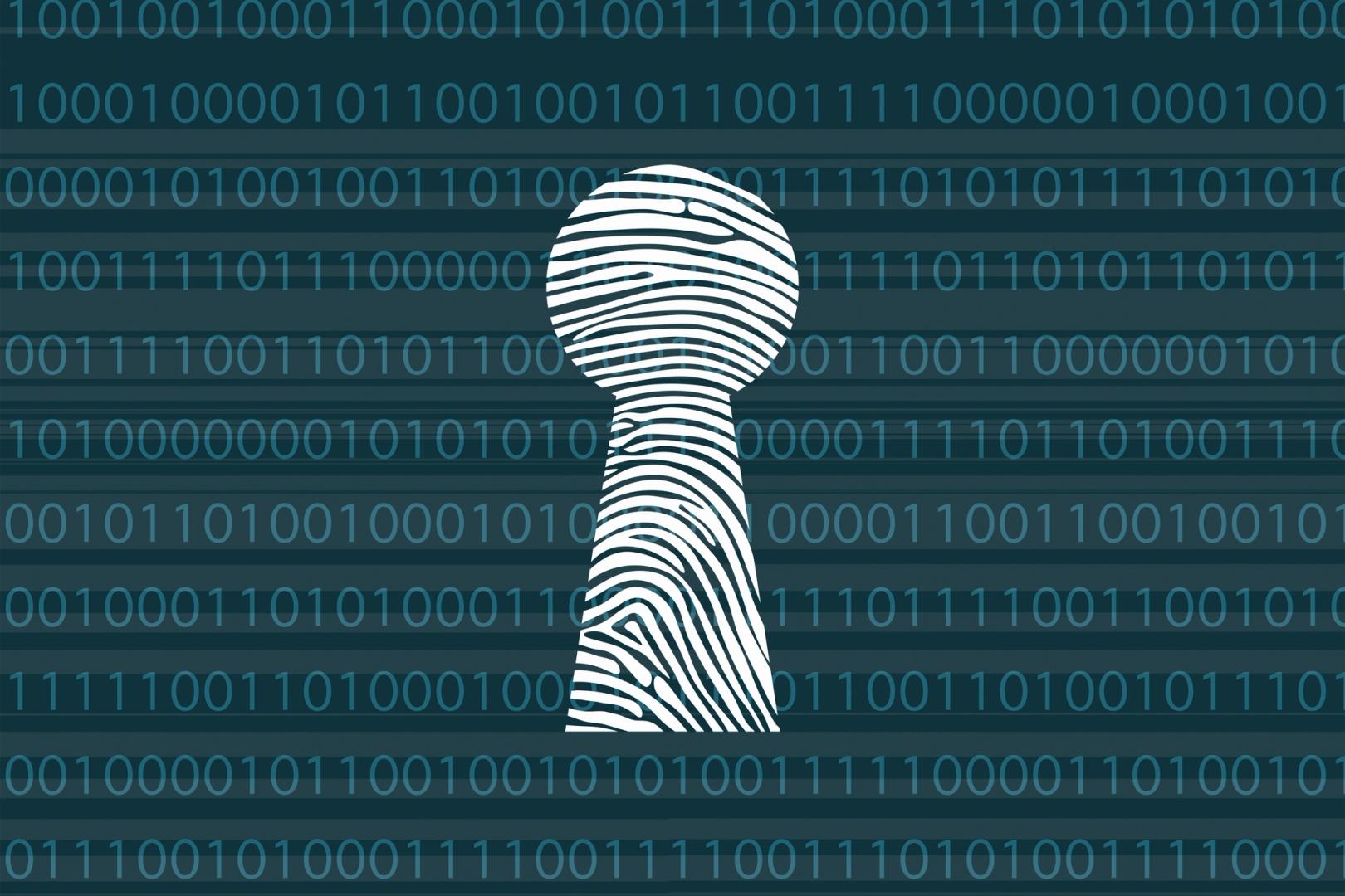 Blockchains Accelerate Privacy Push, Analysts Question Which Techniques Will Prevail