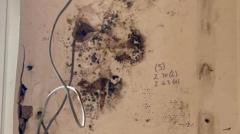 UK Serious Fraud Office Arrests Four Over Home Insulation Grant Scam