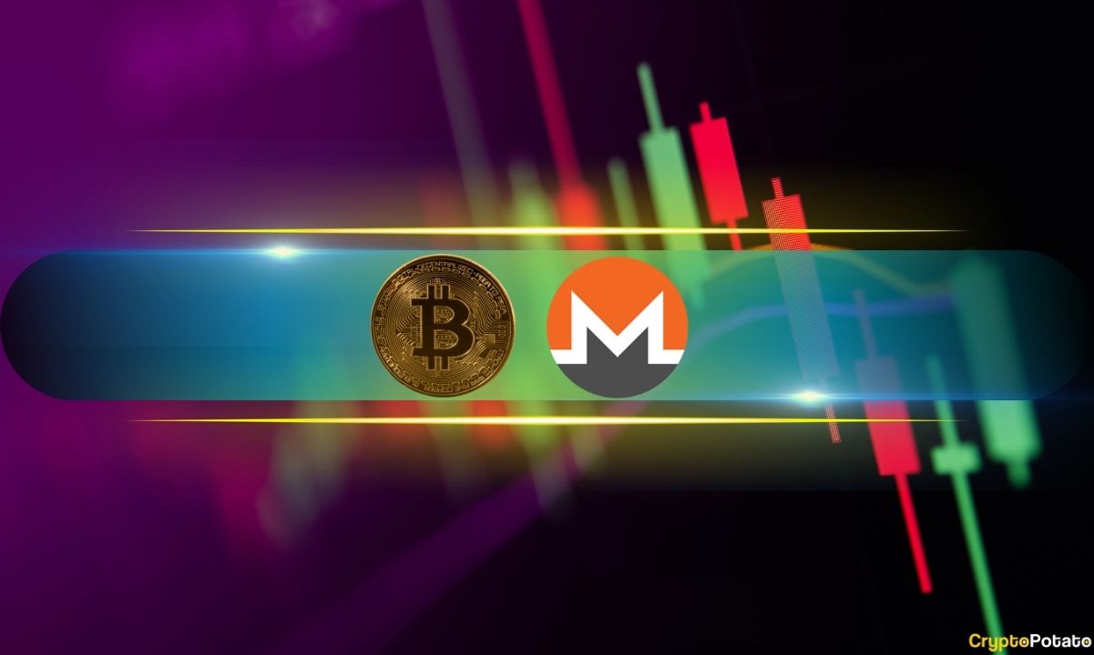 Bitcoin Hits 3-Month High Near $81.5K, Then Rejects as Warsh's Hawkish Tone Weighs
