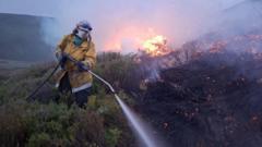 Cairngorms Wildfire Shows Why Bitcoin Mining is the Ultimate Green Energy Partner – Not the Enemy