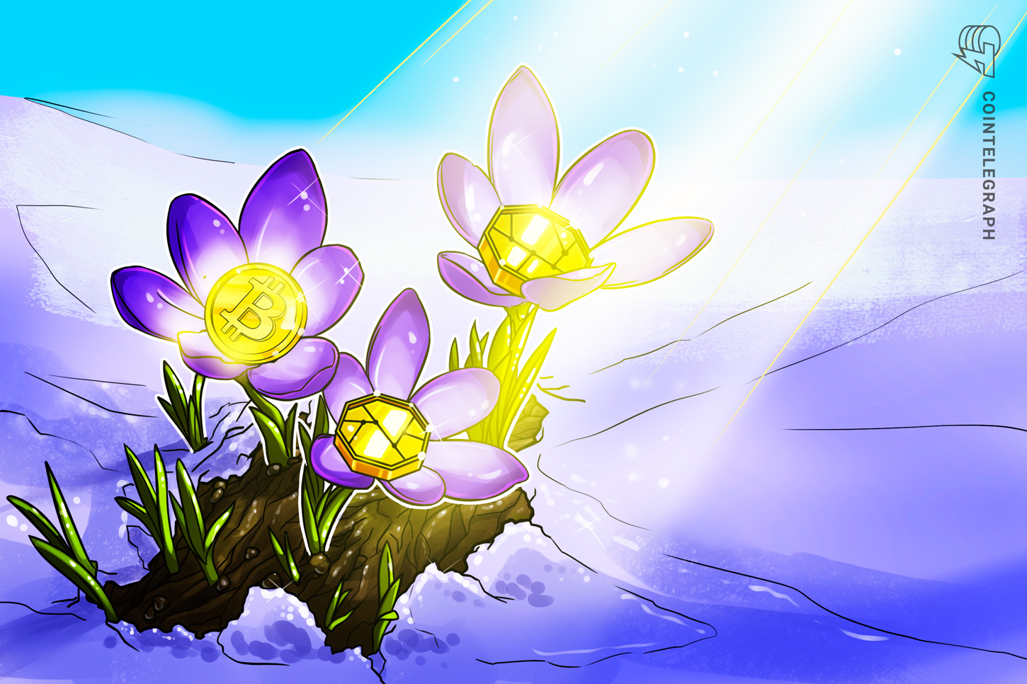 Bitwise's Hougan Says Q3 Charts Point to 'Crypto Spring'