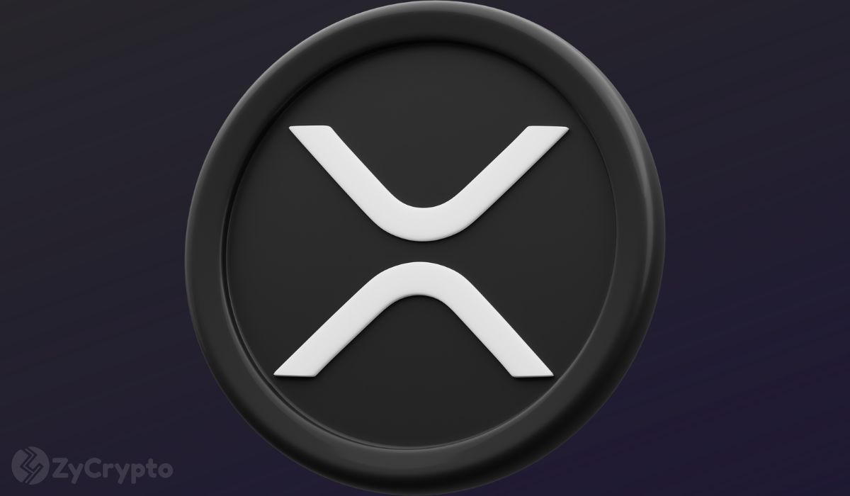 Two U.S. Asset Managers Disclose XRP ETF Holdings as Institutional Interest Grows